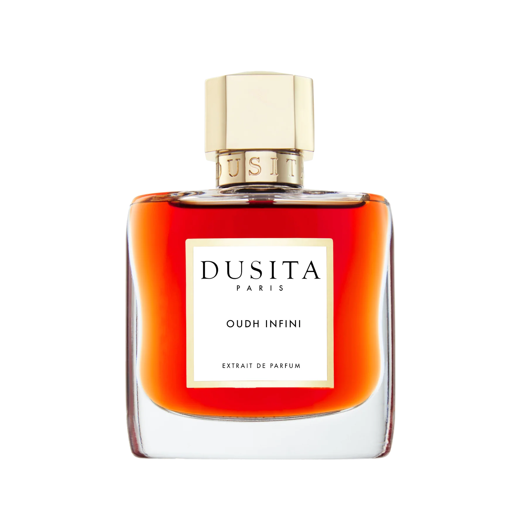 Oudh Infini