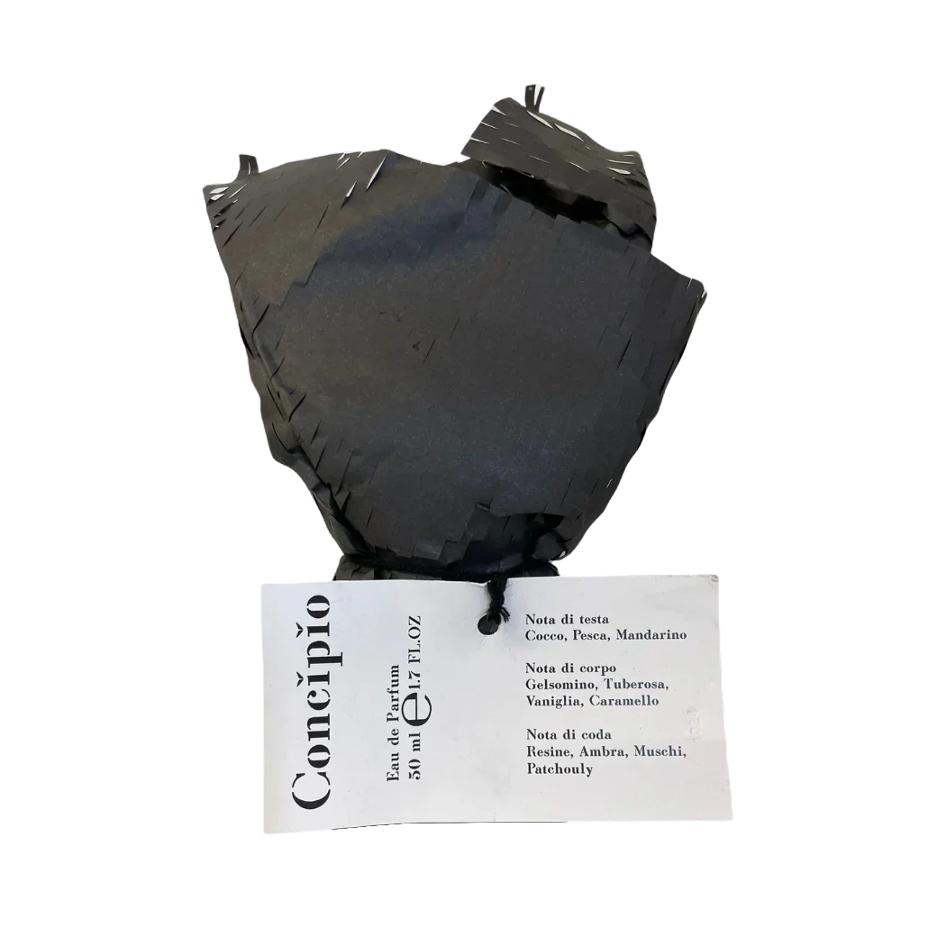 Concipio - Image 2