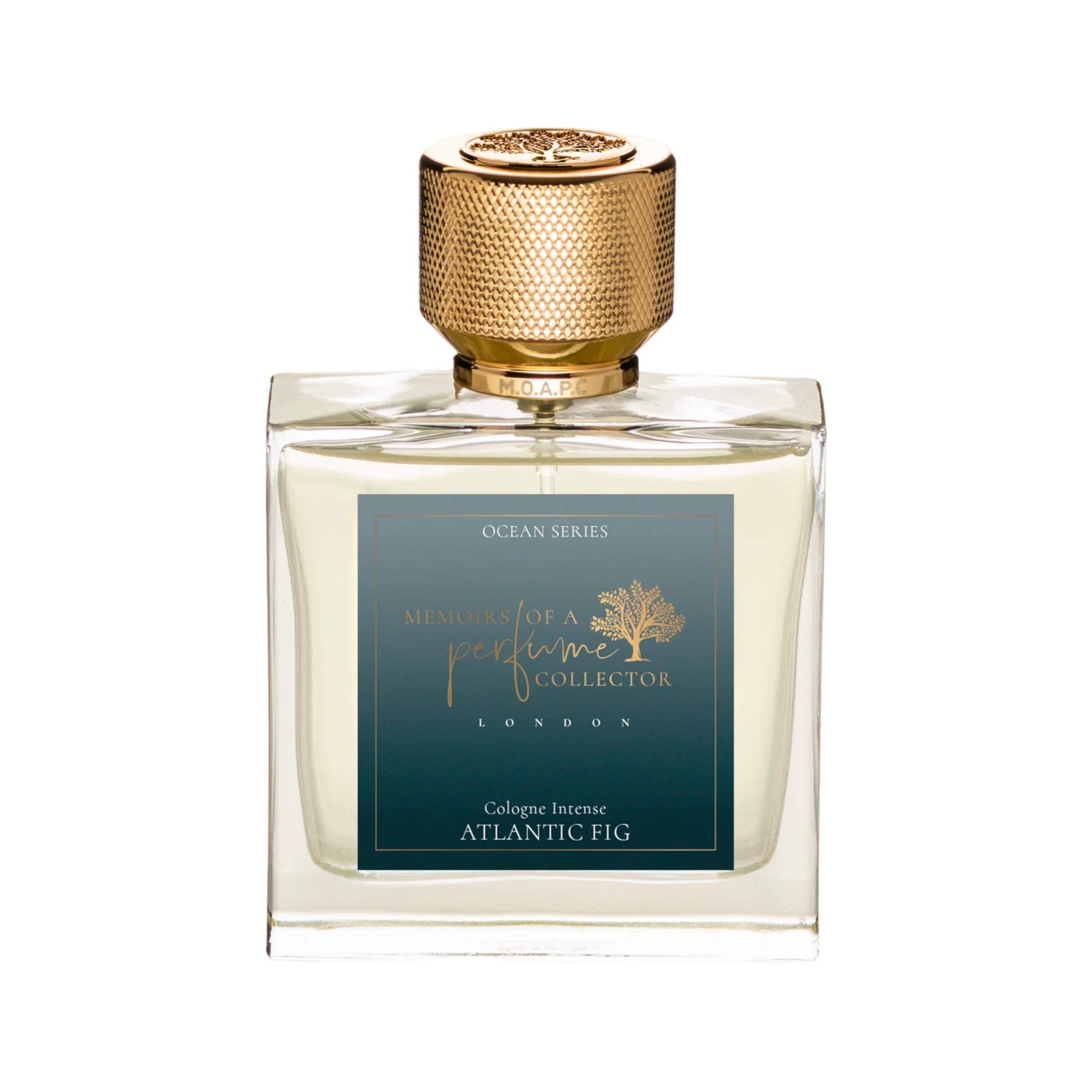 Atlantic Fig - Limited Edition